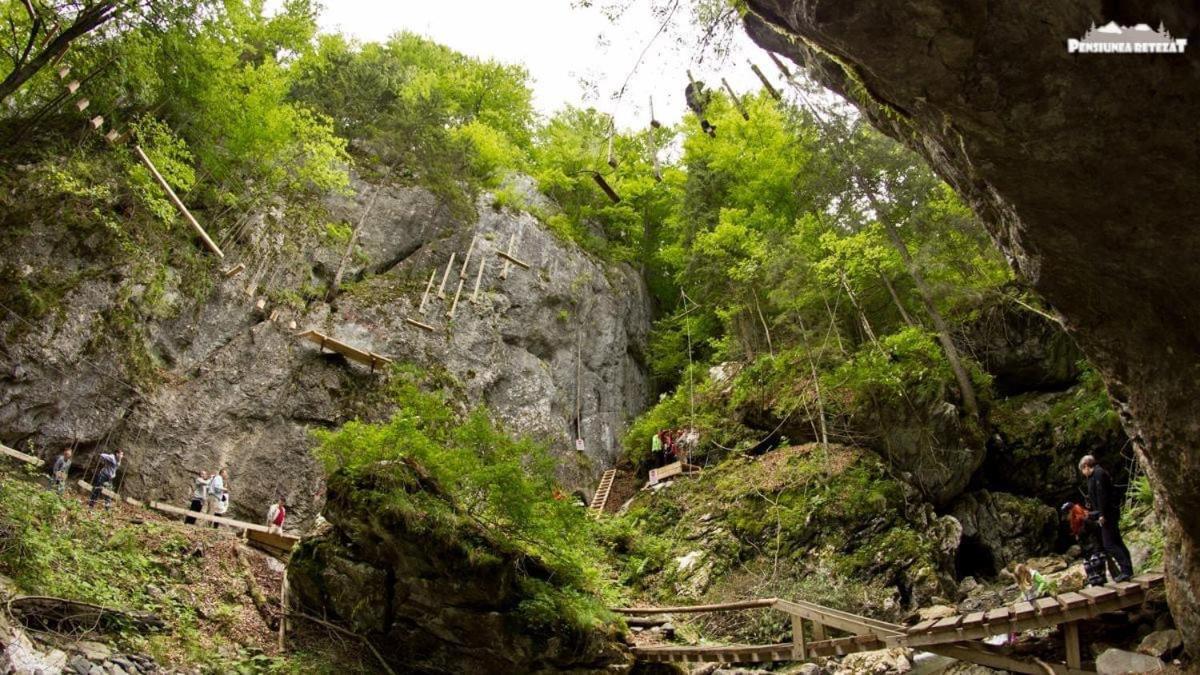 Pensiunea Retezat Campu Lui Neag Uricani  Exteriér fotografie