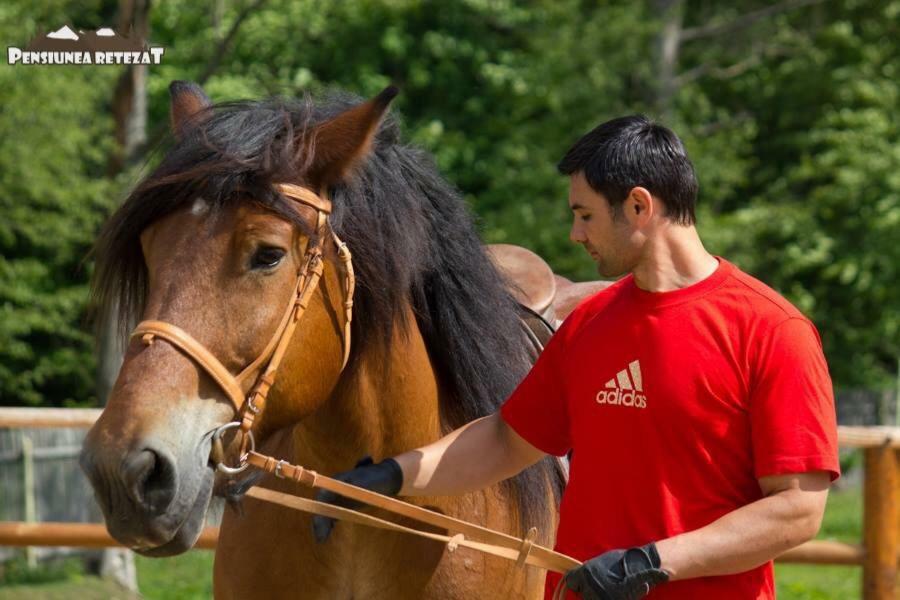 Pensiunea Retezat Campu Lui Neag Uricani  Exteriér fotografie